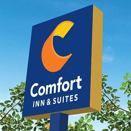 Comfort Inn & Suites Newark Liberty International Airport Экстерьер фото